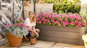 Cette petite vivace rose facile illumine bordures et pots tout l’été et transforme un jardin triste en scène ultra chic